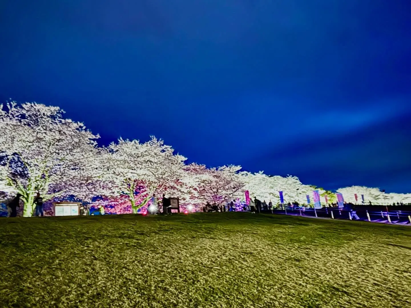 さくら市 ゆうゆうパークにて