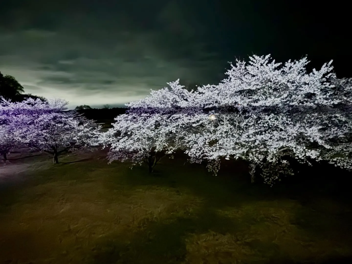 さくら市 ゆうゆうパークにて